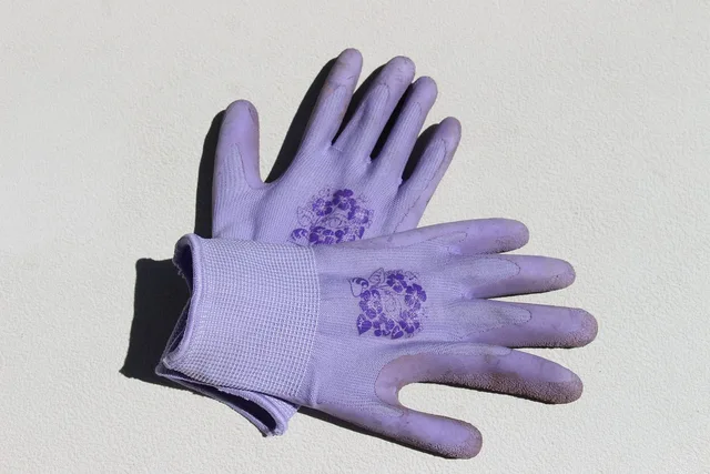 gardening gloves, purple, gloves, work, gardening, finger, hand, nature, dirty, glove, garden, protection, gardeners, working gloves. SBA loans and OSHA duties for a short-term rental management business