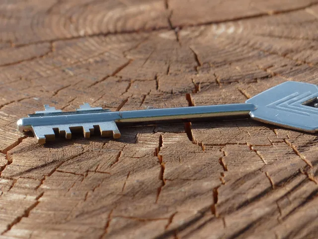key, safe key, door key, to open, make up, blade, access, shut down, secret, individually, tool, metal, mysterious, silver, shine, beard, keys, room key, security, unlock, lock, close up, close to, castle, key collection, key, secret, secret, secret, secret, secret. The insurance a short-term rental business needs, and the cost of it