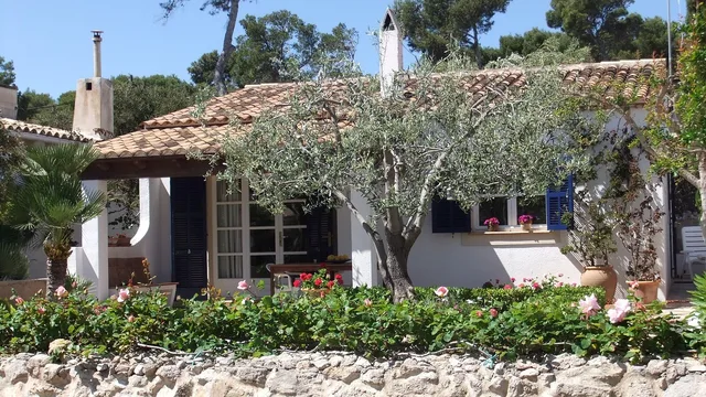 holiday home, apartment, house, vacations, building. 7 points worth checking on short-term rental marketing