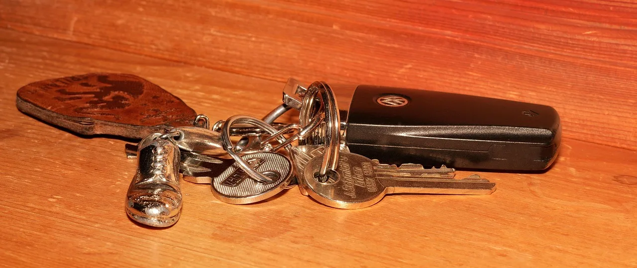 keychain, key, wooden shelf, car key, keychain, car key, car key, car key, car key, car key. Short-term rental software: what to check and track